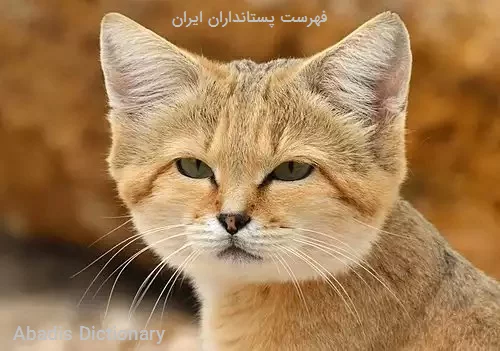 فهرست پستانداران ایران